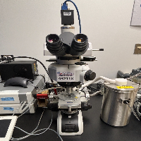 Linkam Freeze Drying with Nikon Microscope image 0
